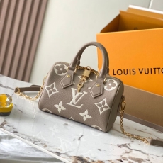 LV Speedy Bags